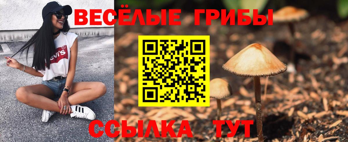 Псилоцибиновые грибы MAGIC MUSHROOMS Котлас